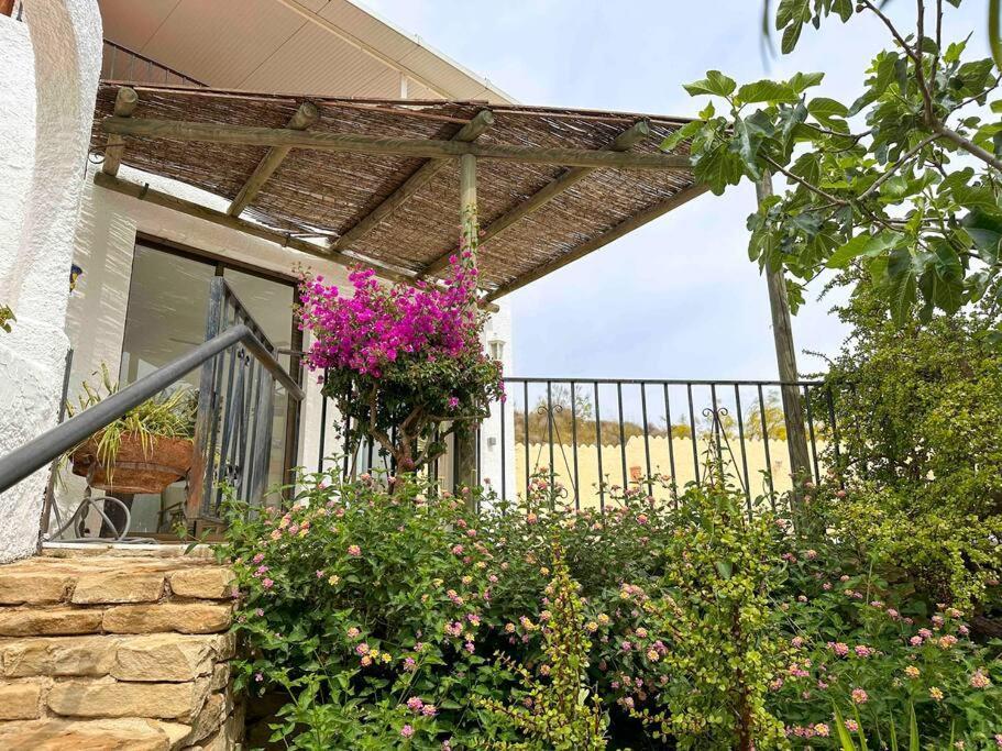 Villa Los Faramondos Naturehouse Turre Exterior foto