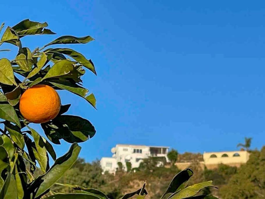 Villa Los Faramondos Naturehouse Turre Exterior foto